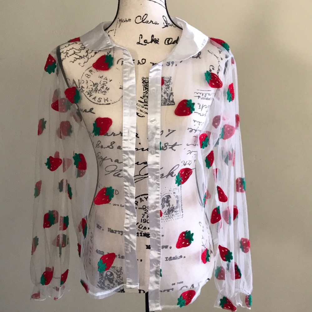 Sheer Blouse